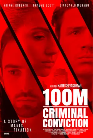 100M 刑事定罪
