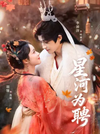 星河为聘