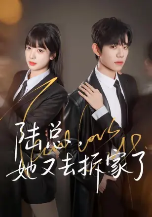 陆总，她又去拆家了