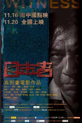 目击者(2012)