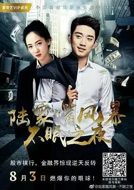 陆家嘴风暴不眠之夜(2017)