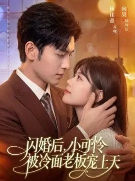 闪婚后，小可怜被冷面老板宠上天