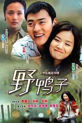 野鸭子(2011)