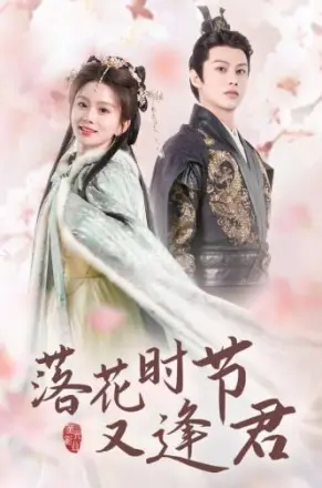 落花时节又逢君短剧