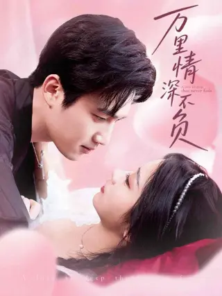 万里情深不负