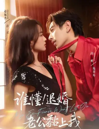 谁懂！退婚老公黏上我