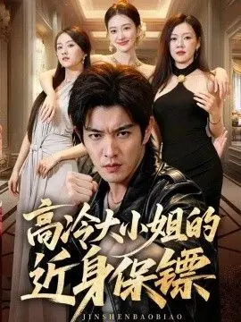 高冷大小姐的近身保镖