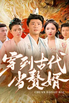 穿到古代当赘婿