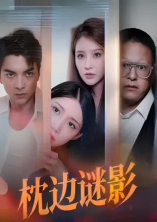 枕边谜影（我撞破了妻子的秘密）