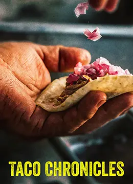 塔可美食纪第二季