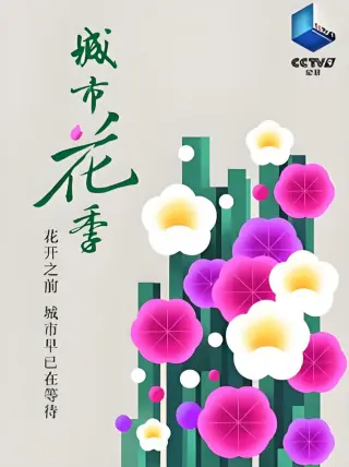 城市花季