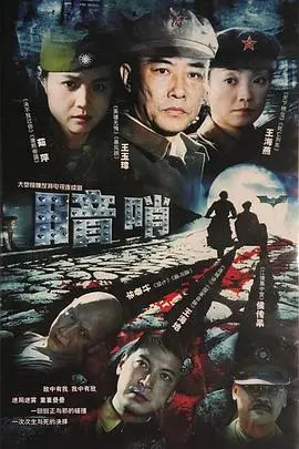 暗哨(2010)