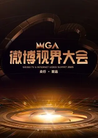 2025微博视界大会