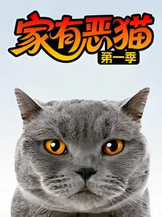 家有恶猫 第九季