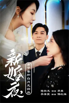 新婚夜,妻子要和白月光洞房(礼尚往来)