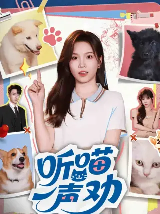 听喵一声劝