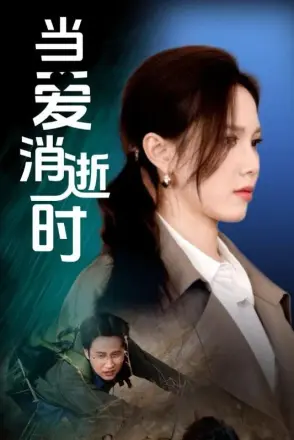 当爱消逝时