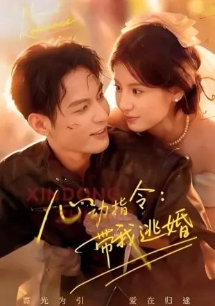 心动指令：带我逃婚