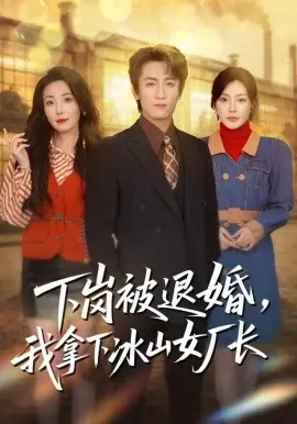 下岗被退婚，我拿下冰山女厂长