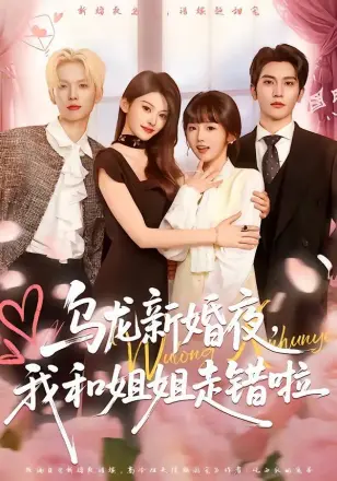 乌龙新婚夜,我和姐姐走错啦