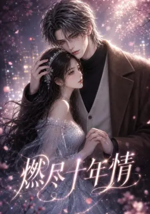 燃尽十年情