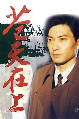 苍天在上(1995)
