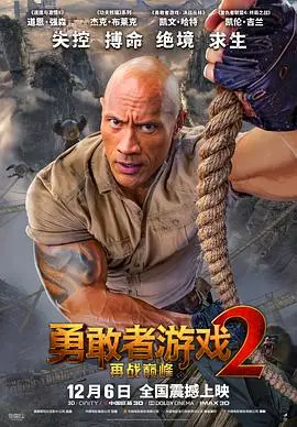 勇敢者游戏2:再战巅峰(国语版)