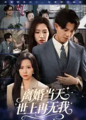 离婚当天,世上再无我