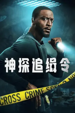 神探追缉令