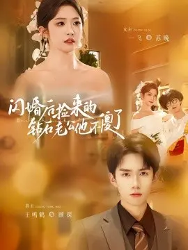 闪婚后捡来的钻石老公他不傻了