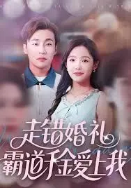 走错婚礼霸道千金爱上我