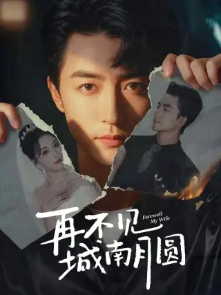 再不见城南月圆