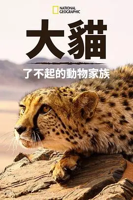 猫科动物:奇妙的动物家族