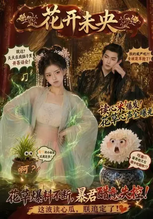 花开未央
