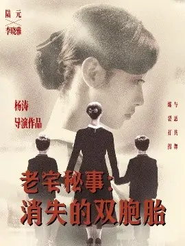 老宅秘事消失的双胞胎 消失的孩子