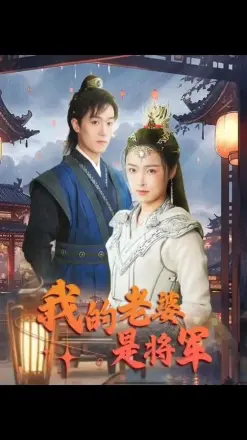 我的老婆是将军