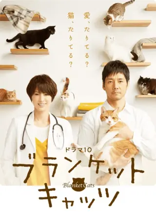 毛毯猫