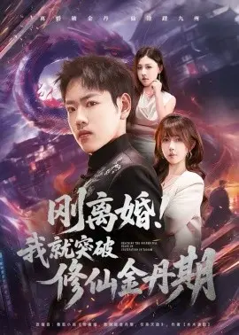 刚离婚!我就突破修仙金丹期