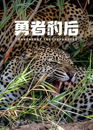 勇者豹后