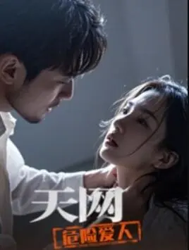 天网:危险爱人