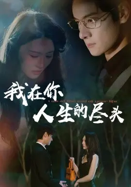 我在你人生的尽头