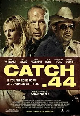 第44条军规(2011)