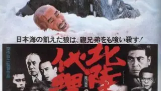 北陆代理战争hokurikuproxywar19771080pblurayx26510bitdd20xeon晚生