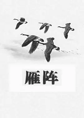 雁阵1991[电影解说]