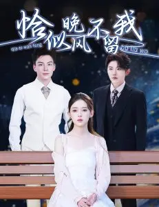 恰似晚风不留我＆弃他如风