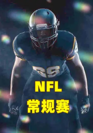 nfl常规赛海豚vs熊20221107