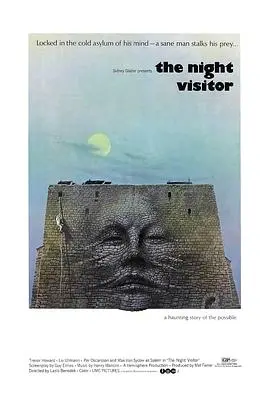 夜缉者(1971)