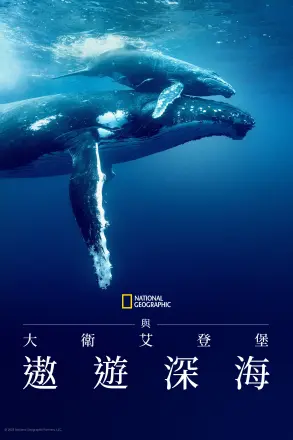 大卫·爱登堡：海洋
