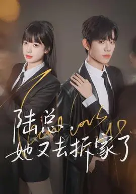 陆总，她又去拆家了