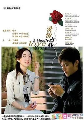 爱情占线(2008)